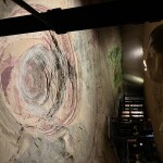 IMG_4455